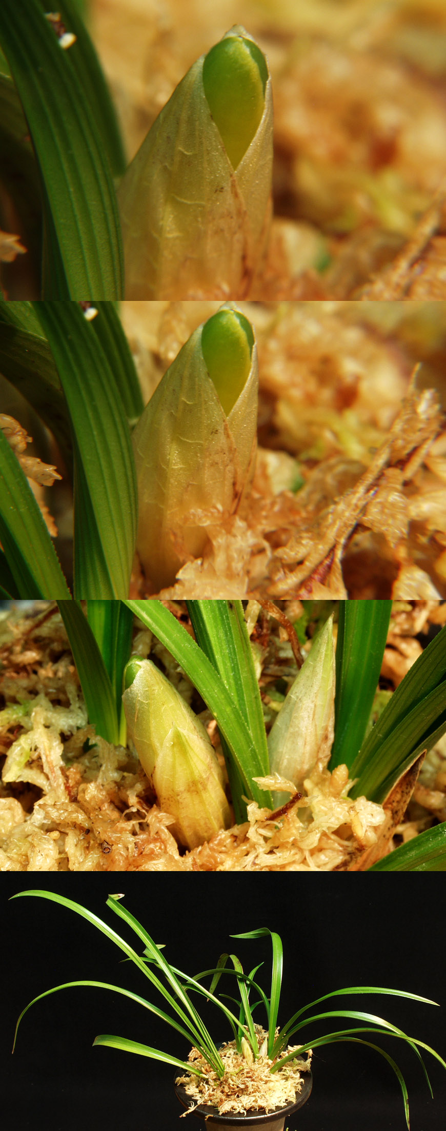 ������ ū������ �� �� �ֽ��ϴ�.