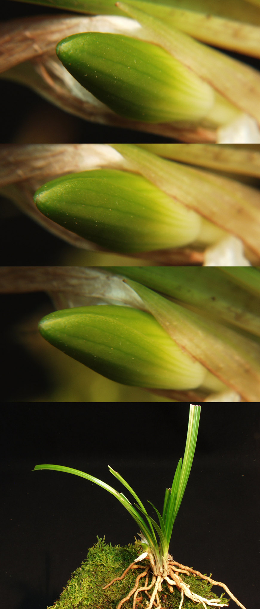 ������ ū������ �� �� �ֽ��ϴ�.