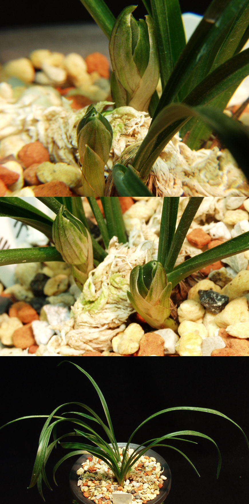 ������ ū������ �� �� �ֽ��ϴ�.