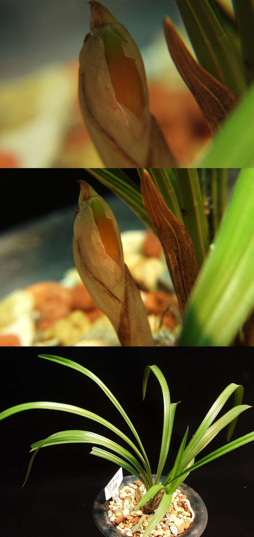 ������ ū������ �� �� �ֽ��ϴ�.