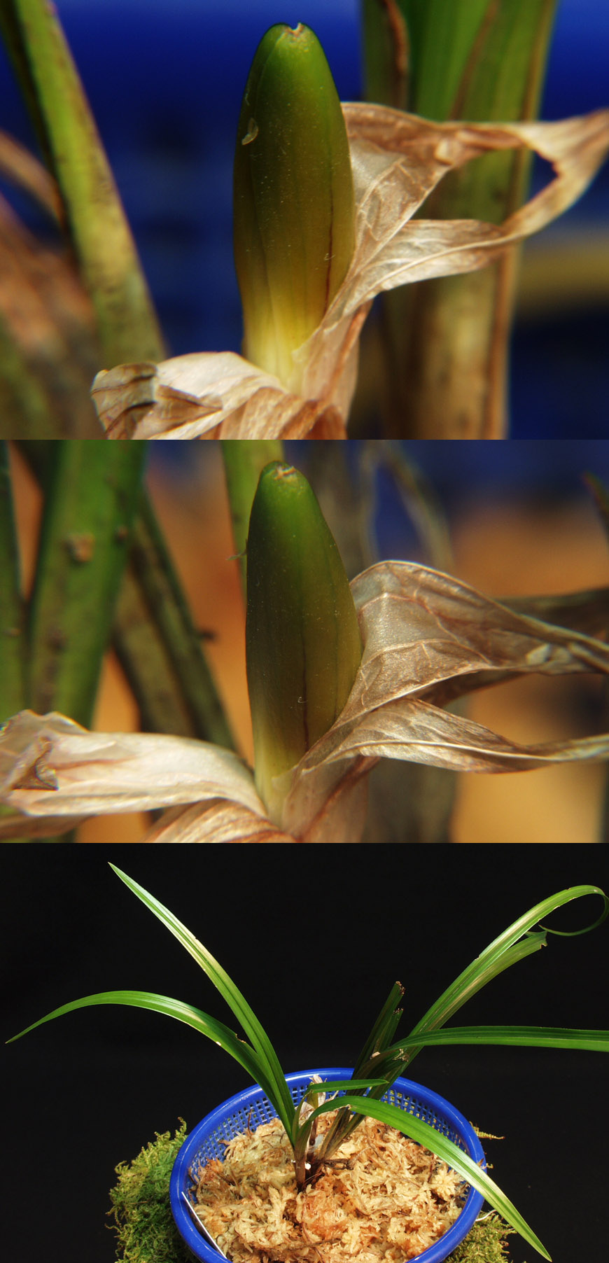 ������ ū������ �� �� �ֽ��ϴ�.