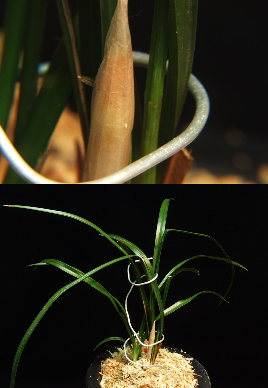 ������ ū������ �� �� �ֽ��ϴ�.