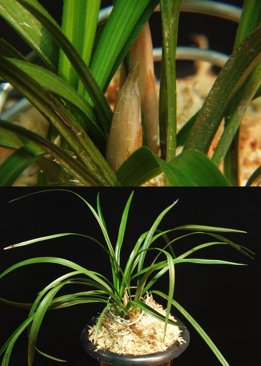 ������ ū������ �� �� �ֽ��ϴ�.