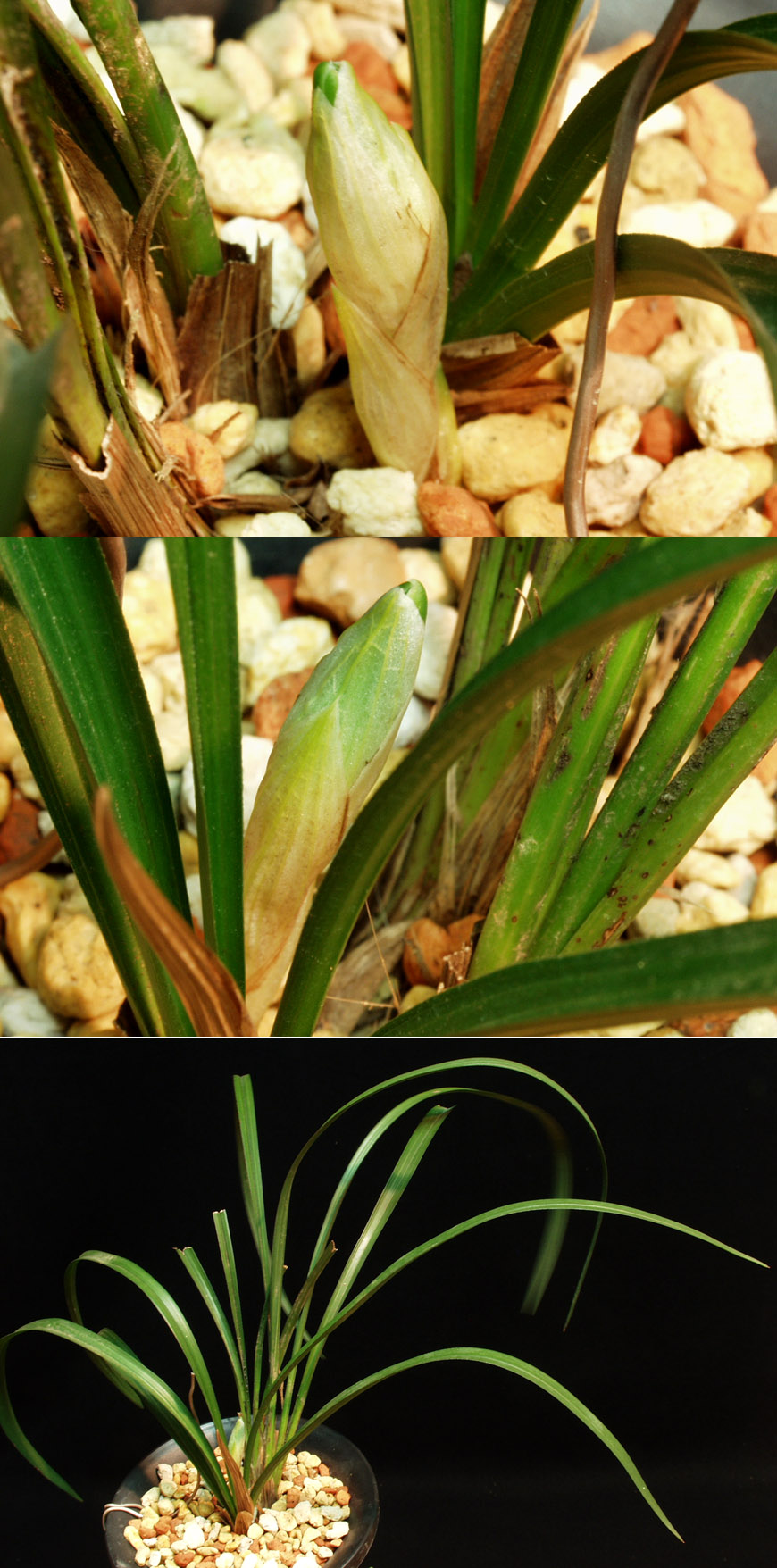 ������ ū������ �� �� �ֽ��ϴ�.