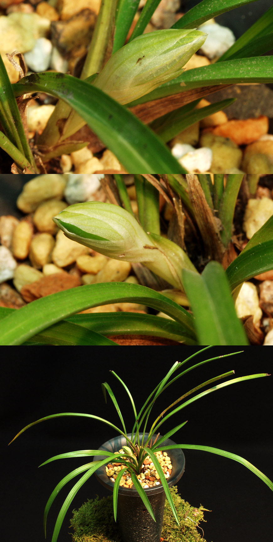 ������ ū������ �� �� �ֽ��ϴ�.