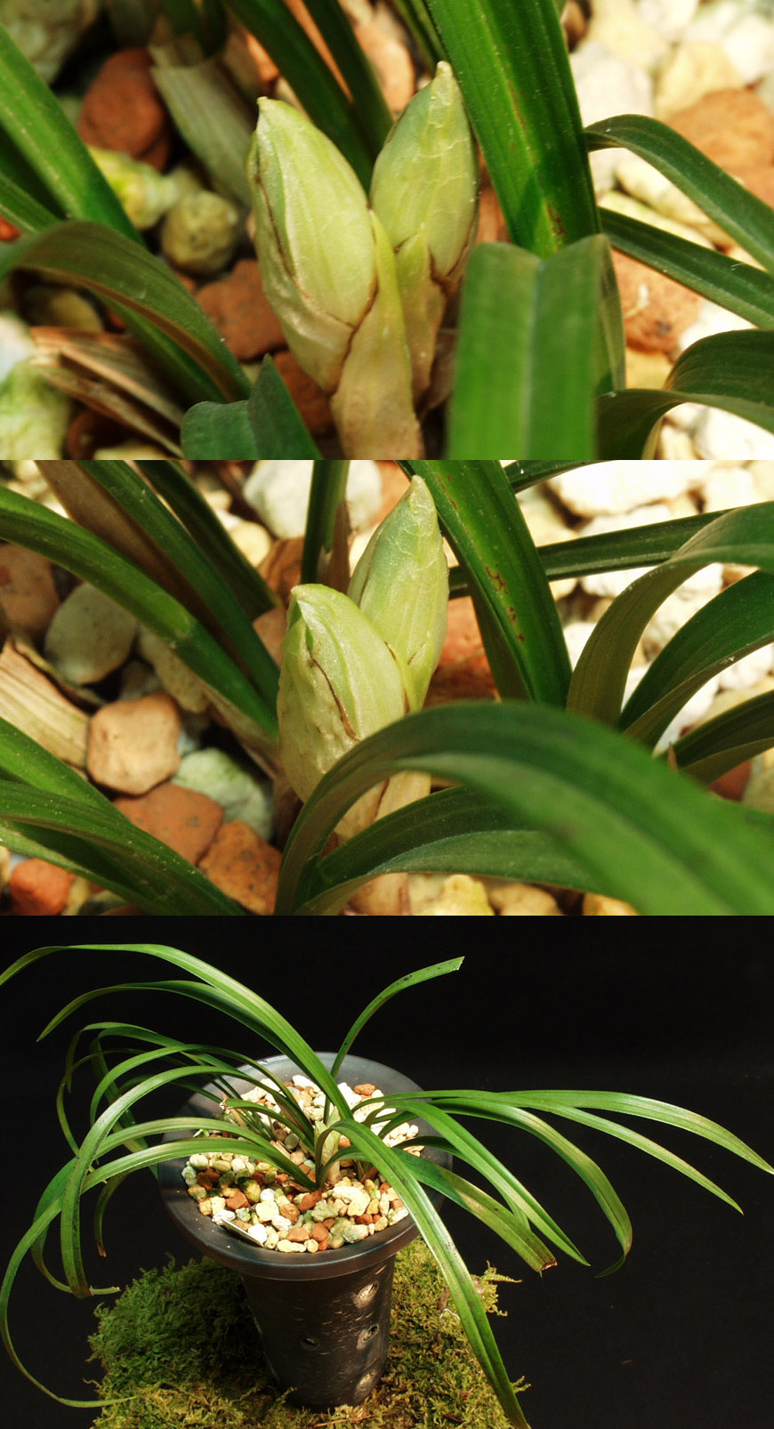 ������ ū������ �� �� �ֽ��ϴ�.