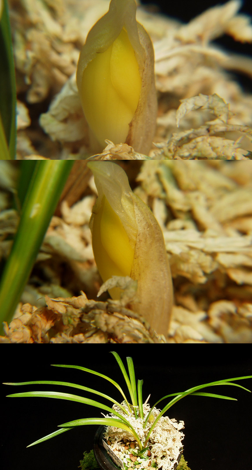 ������ ū������ �� �� �ֽ��ϴ�.