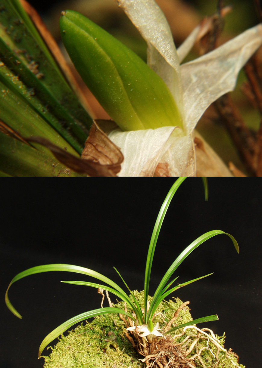 ������ ū������ �� �� �ֽ��ϴ�.