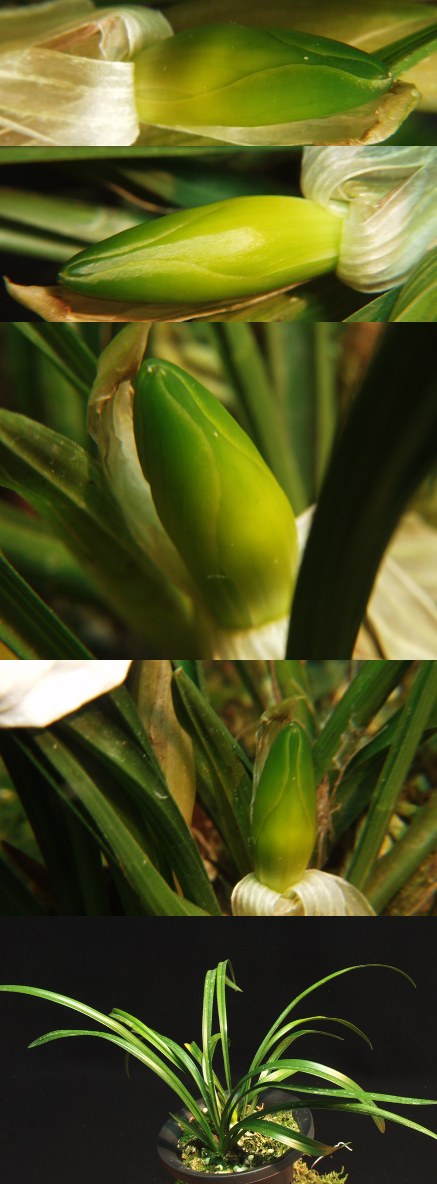 ������ ū������ �� �� �ֽ��ϴ�.