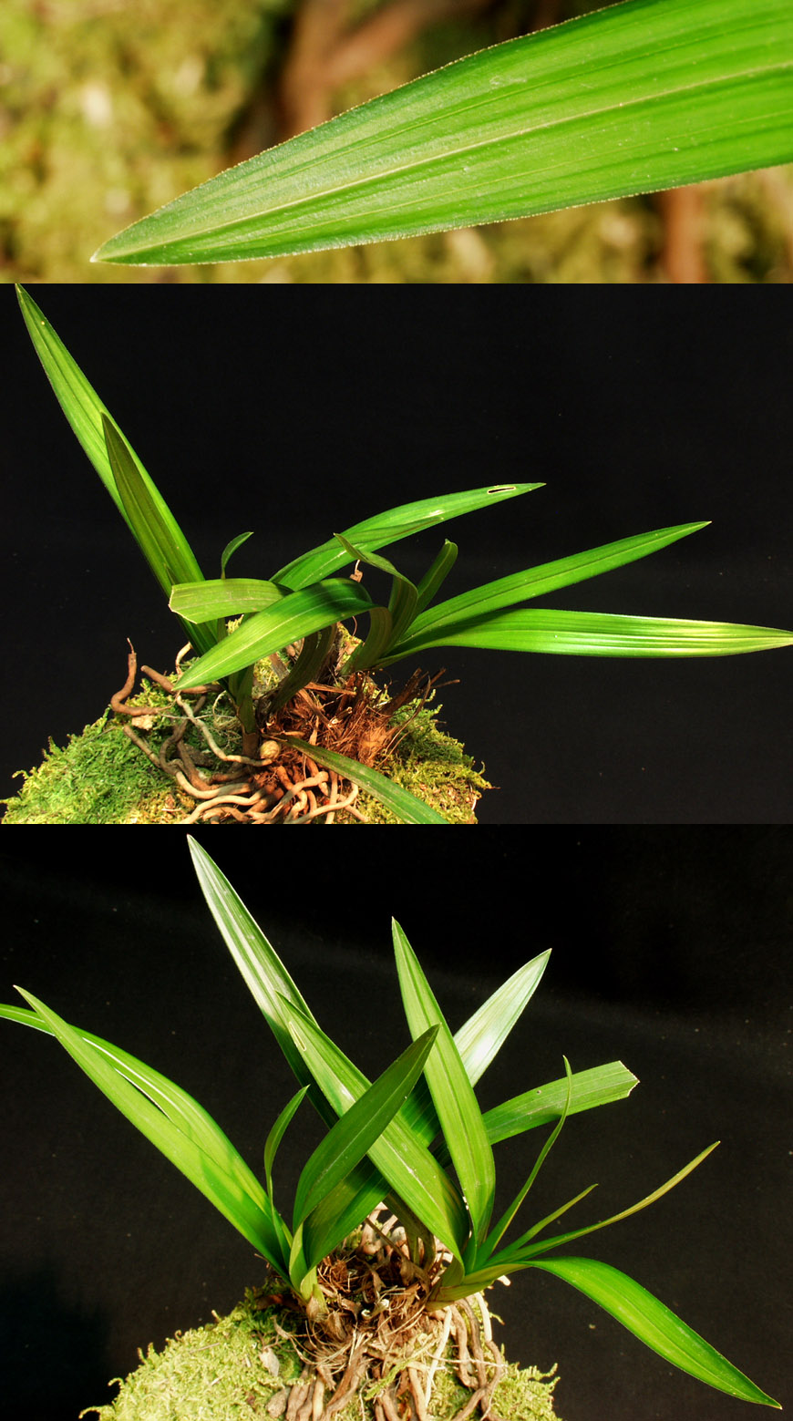 ������ ū������ �� �� �ֽ��ϴ�.