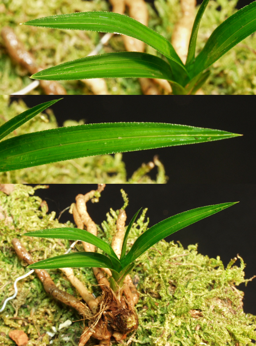 ������ ū������ �� �� �ֽ��ϴ�.