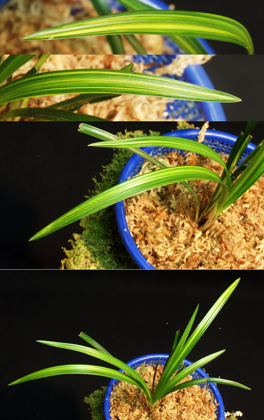 ������ ū������ �� �� �ֽ��ϴ�.