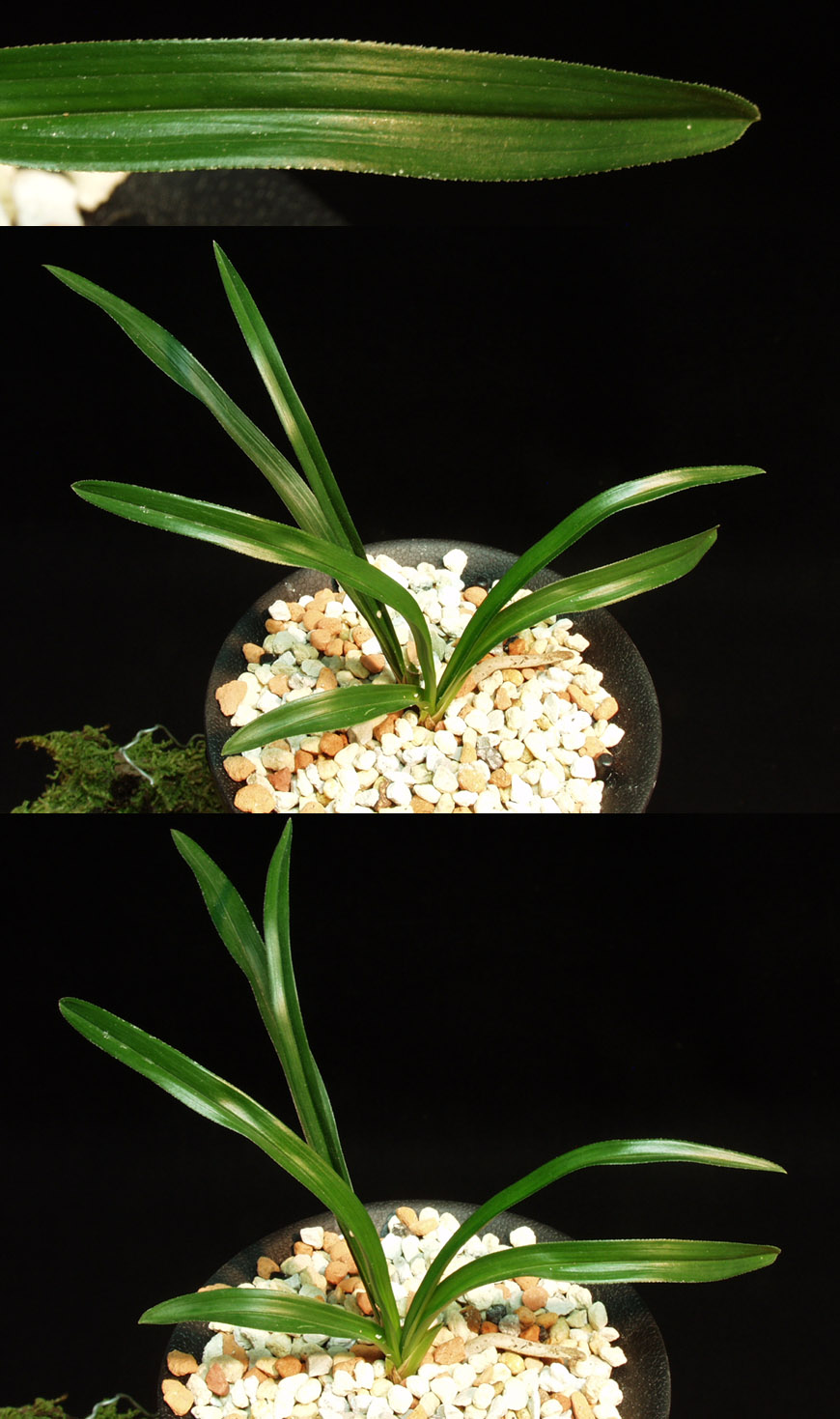 ������ ū������ �� �� �ֽ��ϴ�.