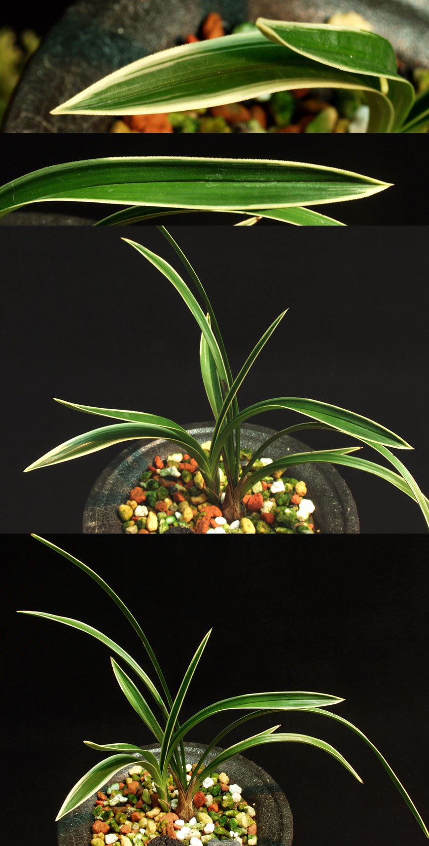 ������ ū������ �� �� �ֽ��ϴ�.