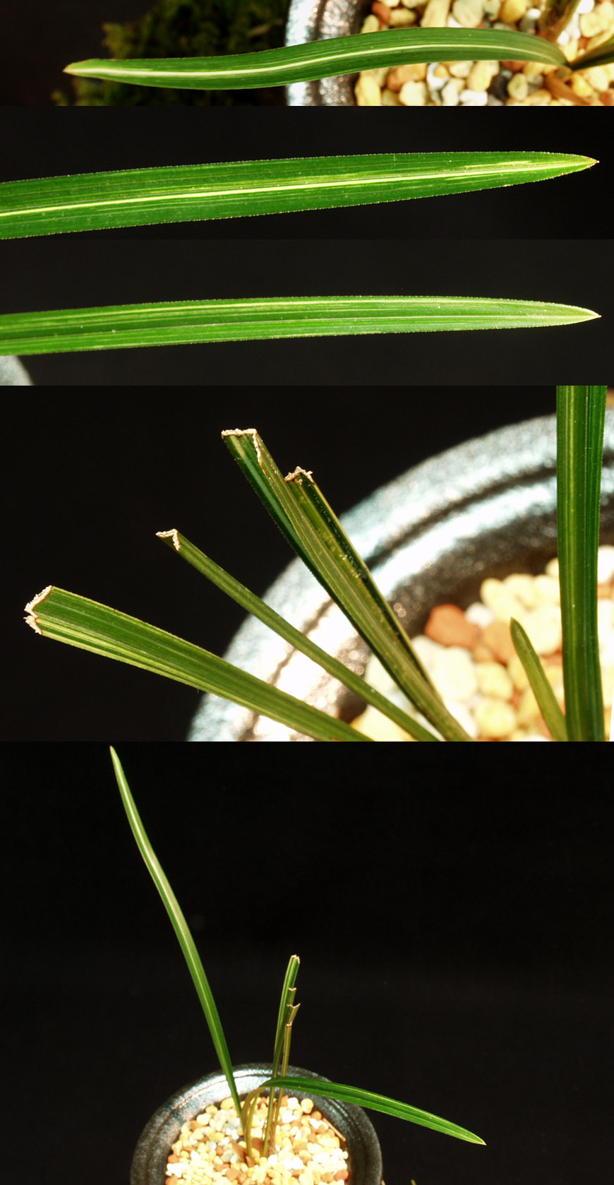 ������ ū������ �� �� �ֽ��ϴ�.