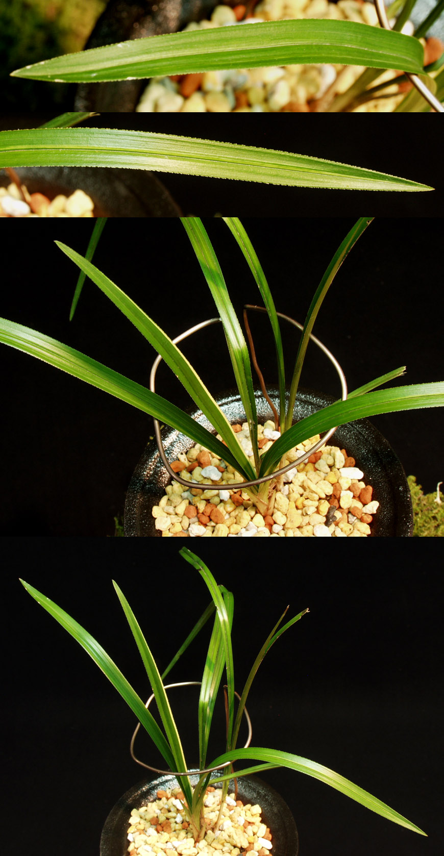 ������ ū������ �� �� �ֽ��ϴ�.