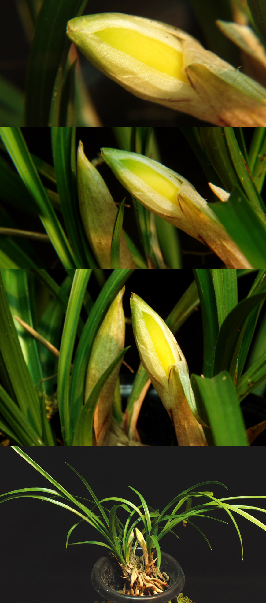 ������ ū������ �� �� �ֽ��ϴ�.