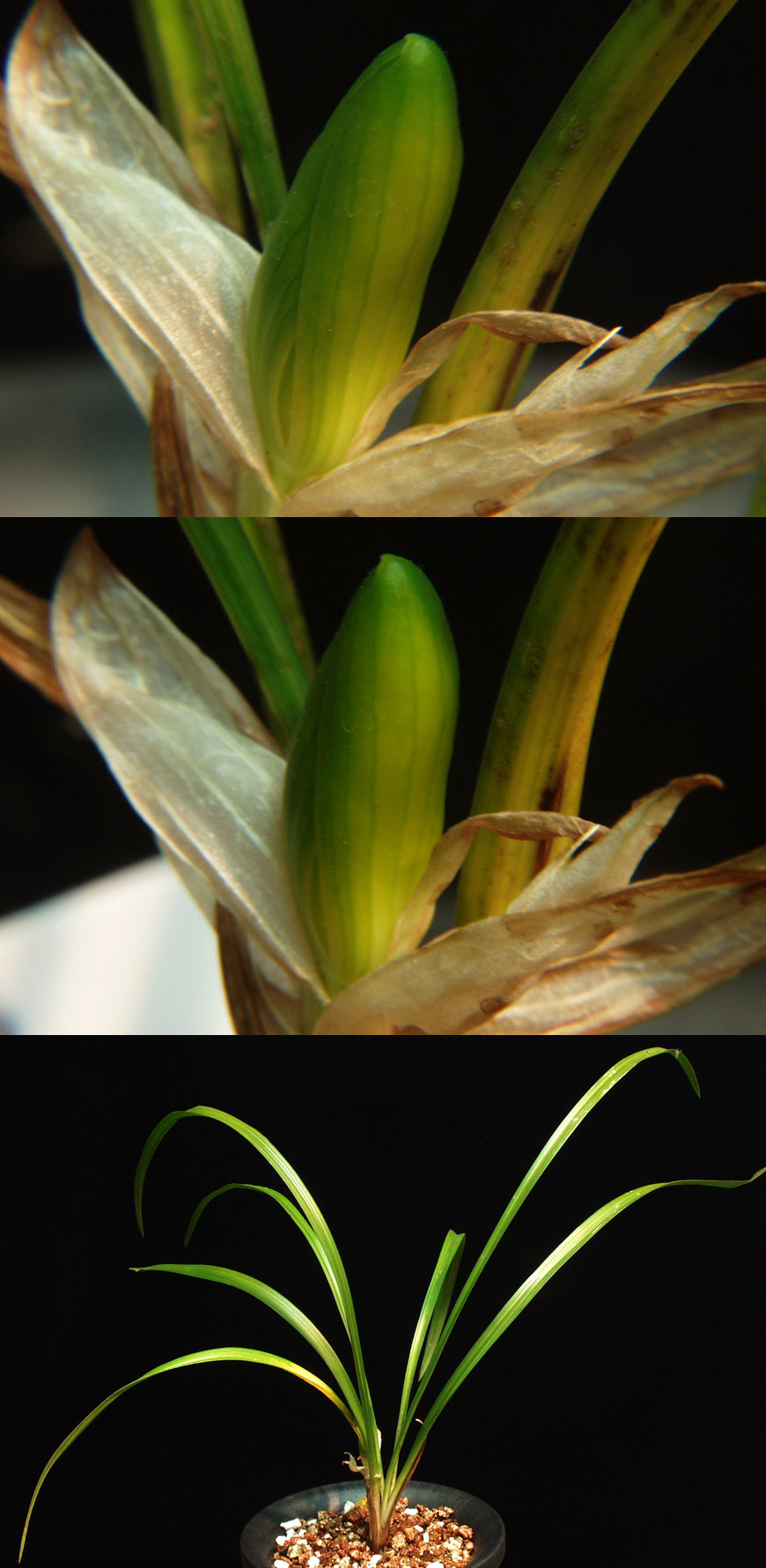 ������ ū������ �� �� �ֽ��ϴ�.