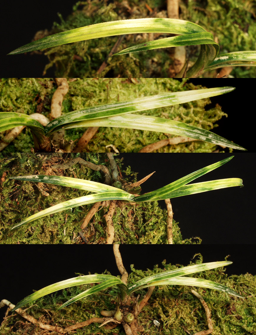 ������ ū������ �� �� �ֽ��ϴ�.