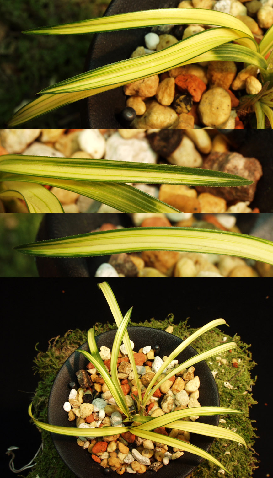 ������ ū������ �� �� �ֽ��ϴ�.