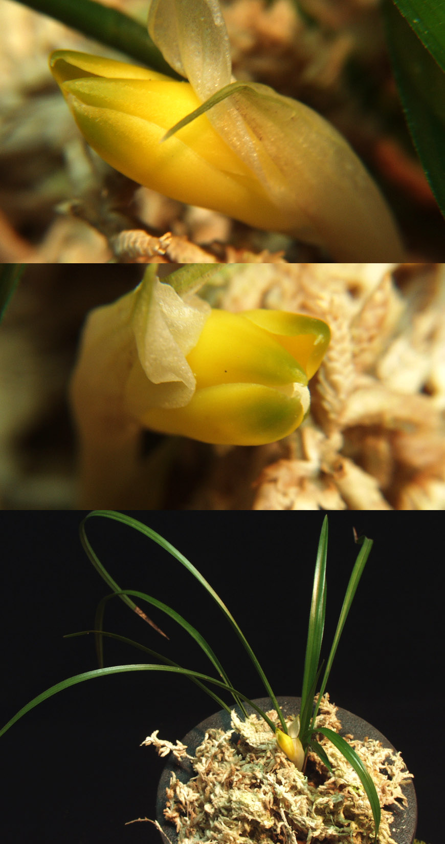 ������ ū������ �� �� �ֽ��ϴ�.