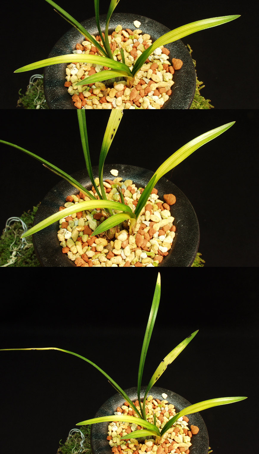 ������ ū������ �� �� �ֽ��ϴ�.