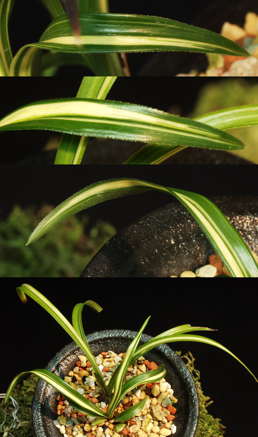 ������ ū������ �� �� �ֽ��ϴ�.