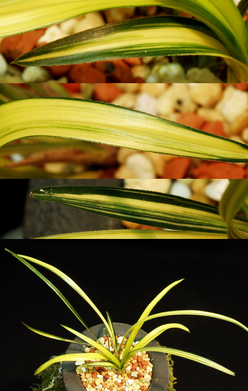 ������ ū������ �� �� �ֽ��ϴ�.