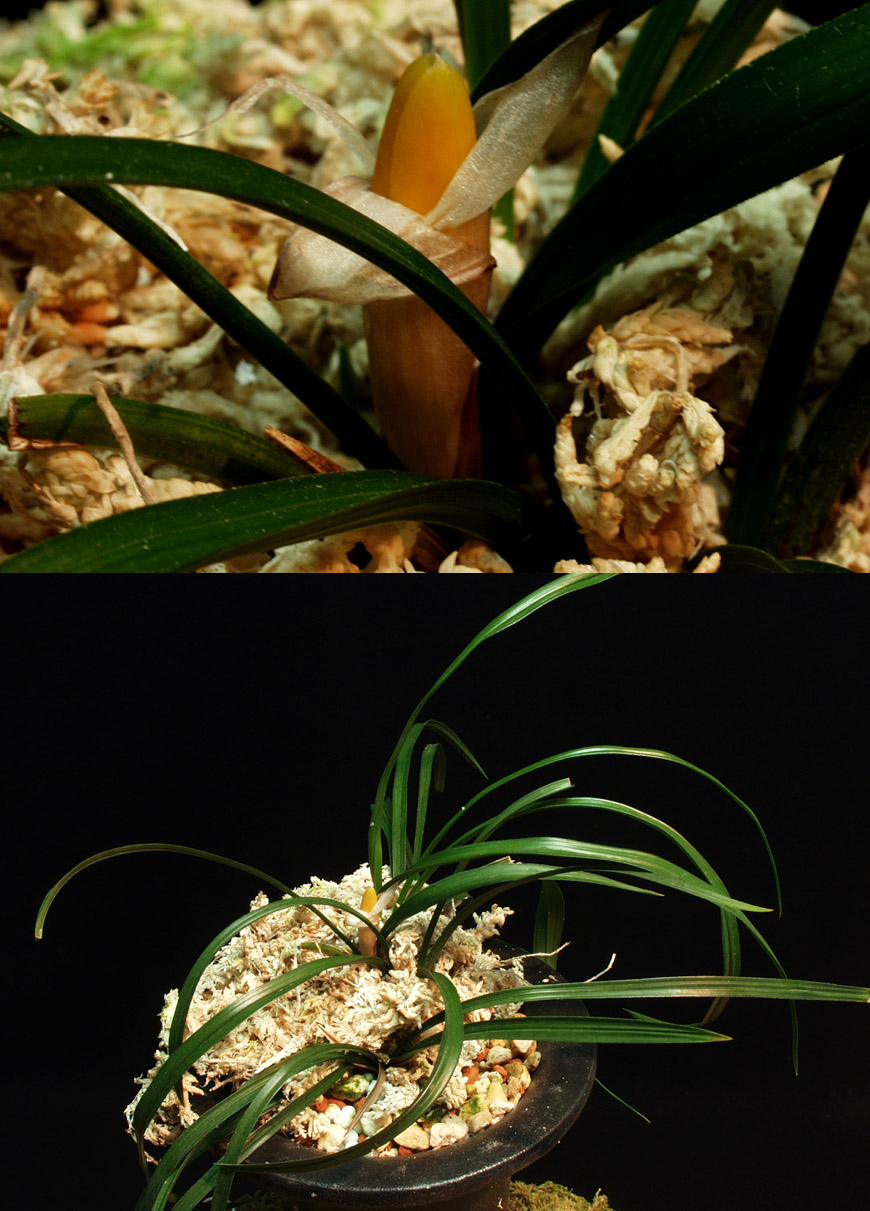 ������ ū������ �� �� �ֽ��ϴ�.