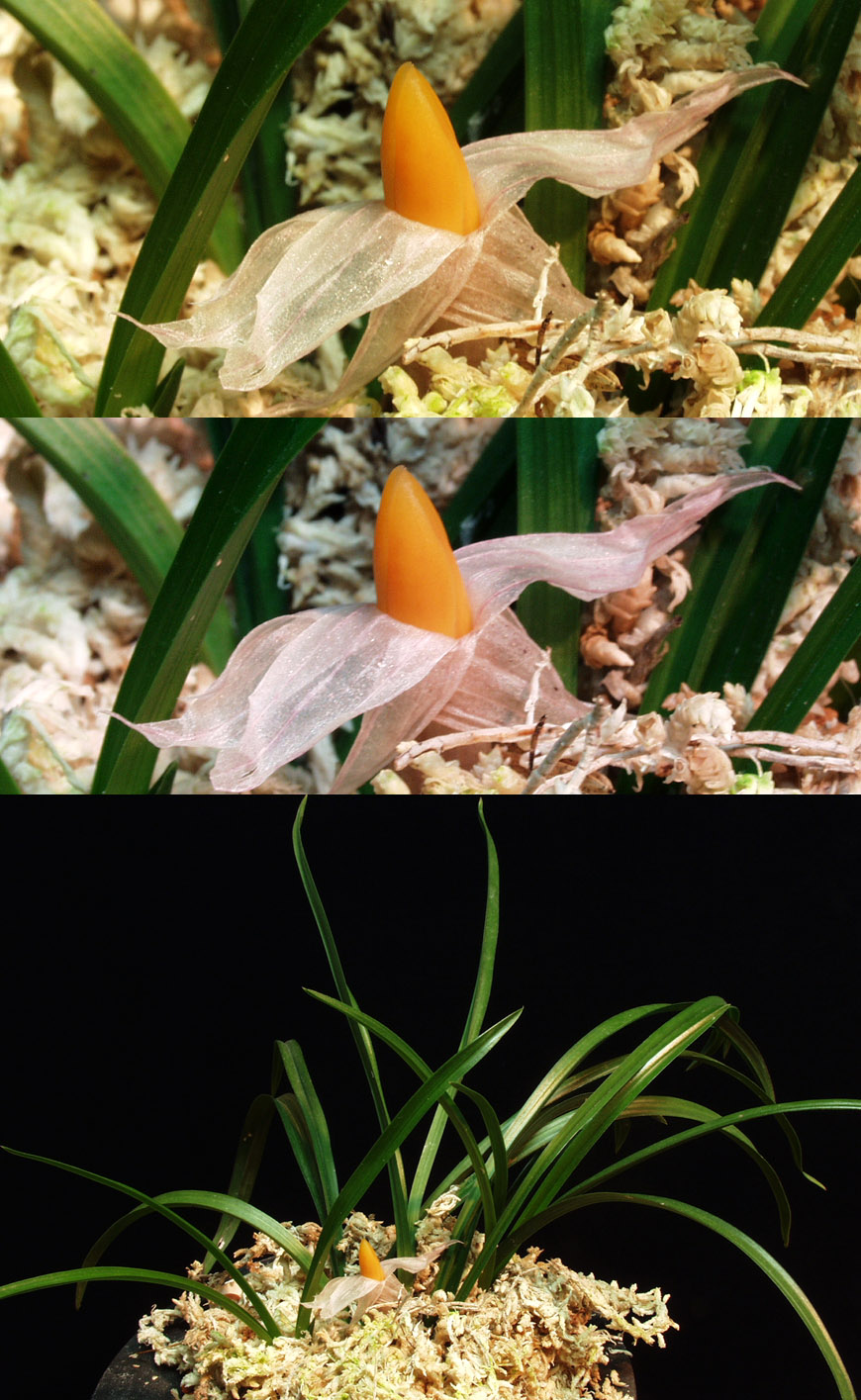 ������ ū������ �� �� �ֽ��ϴ�.