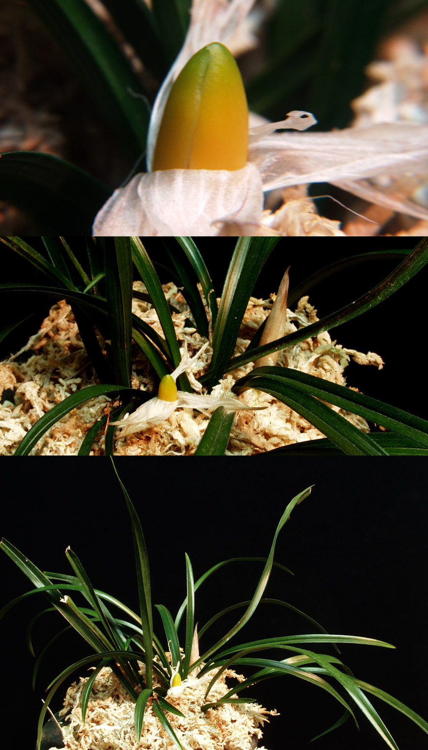 ������ ū������ �� �� �ֽ��ϴ�.