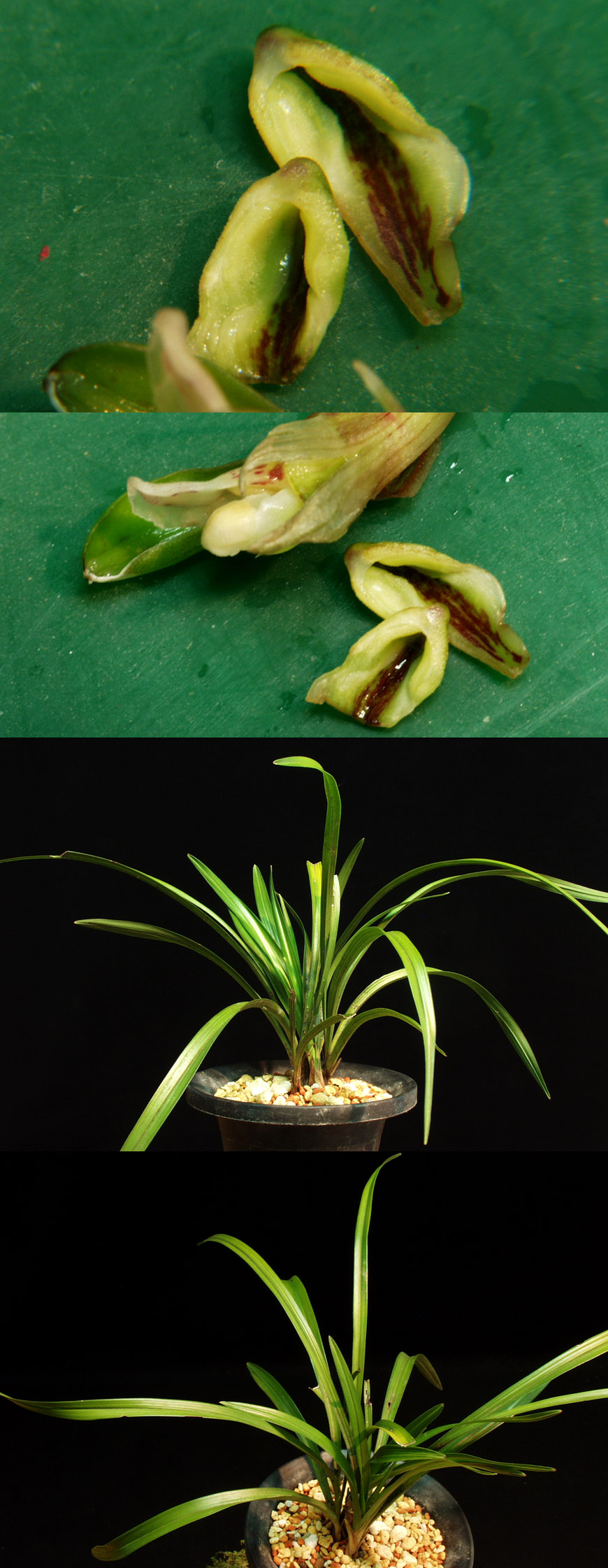 ������ ū������ �� �� �ֽ��ϴ�.