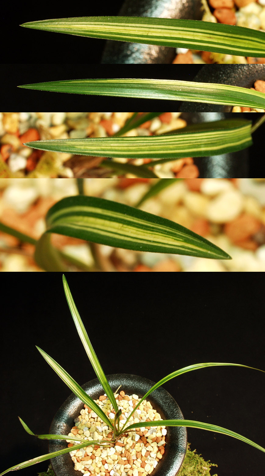 ������ ū������ �� �� �ֽ��ϴ�.