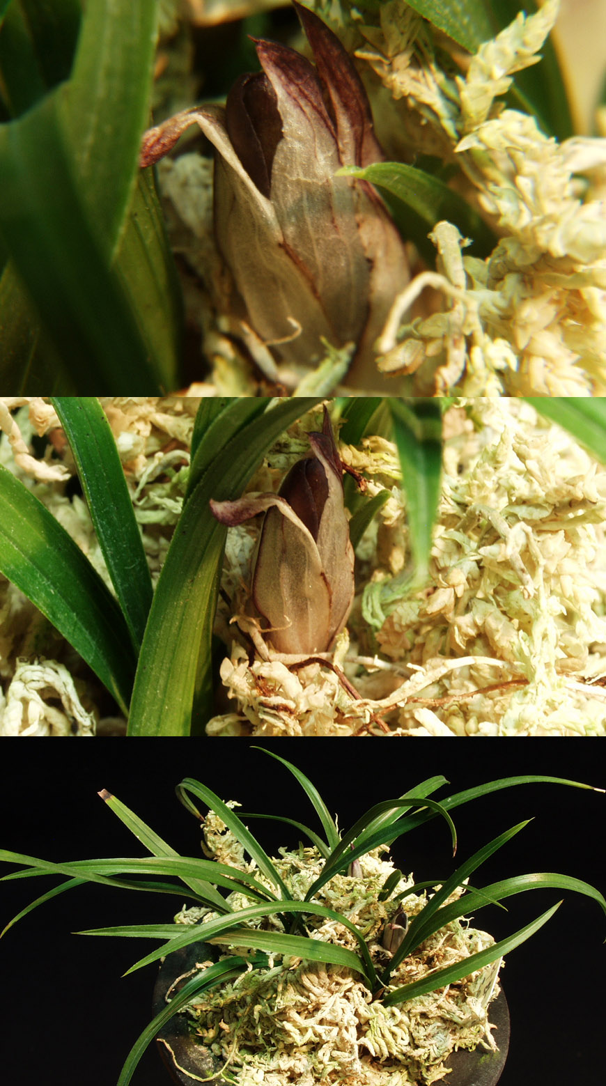 ������ ū������ �� �� �ֽ��ϴ�.