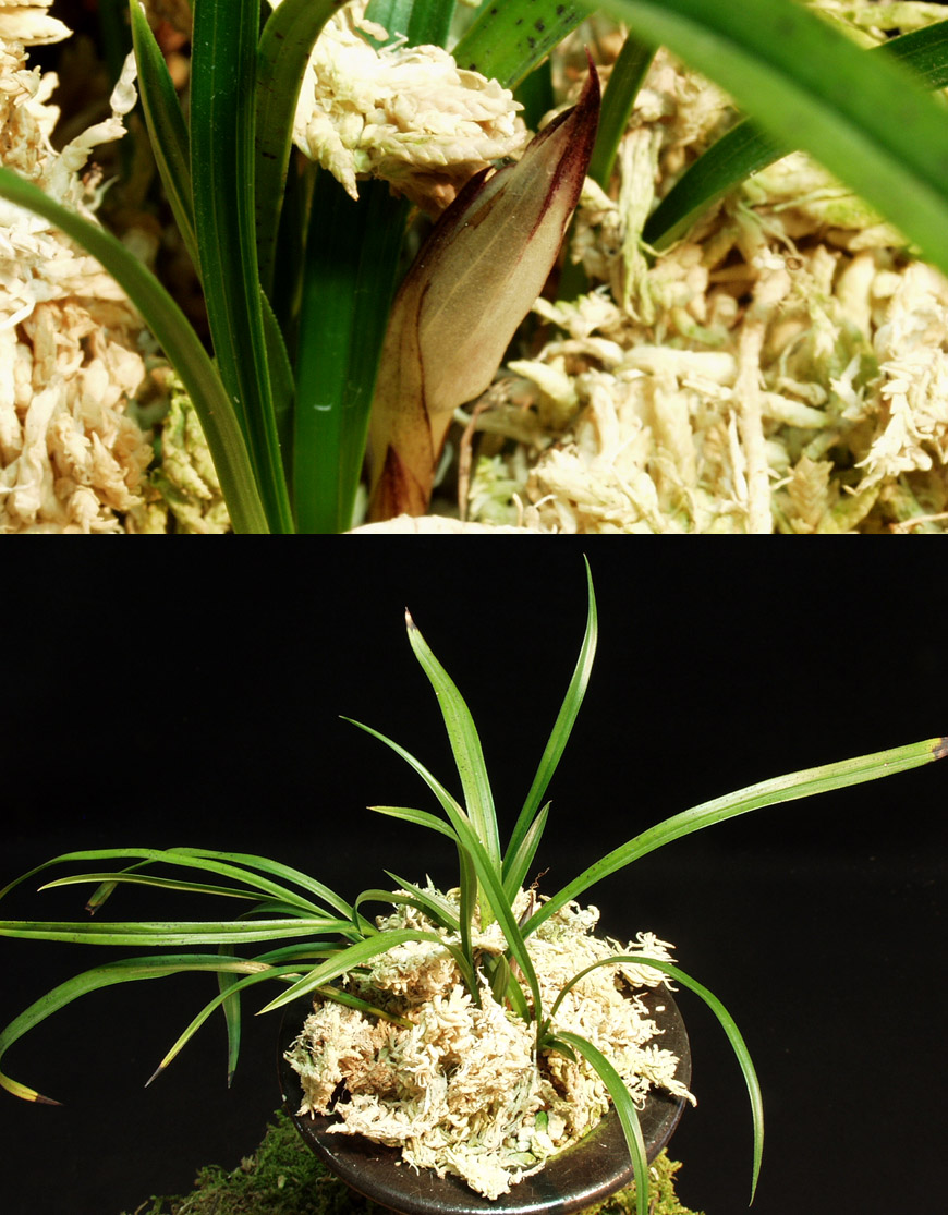 ������ ū������ �� �� �ֽ��ϴ�.