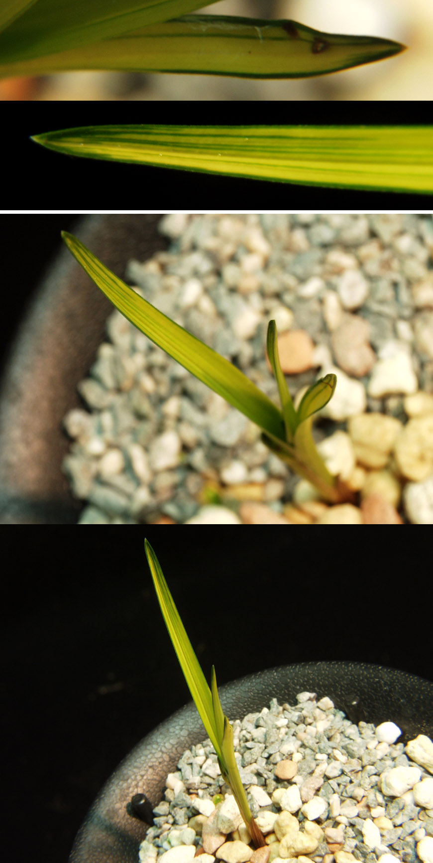 ������ ū������ �� �� �ֽ��ϴ�.