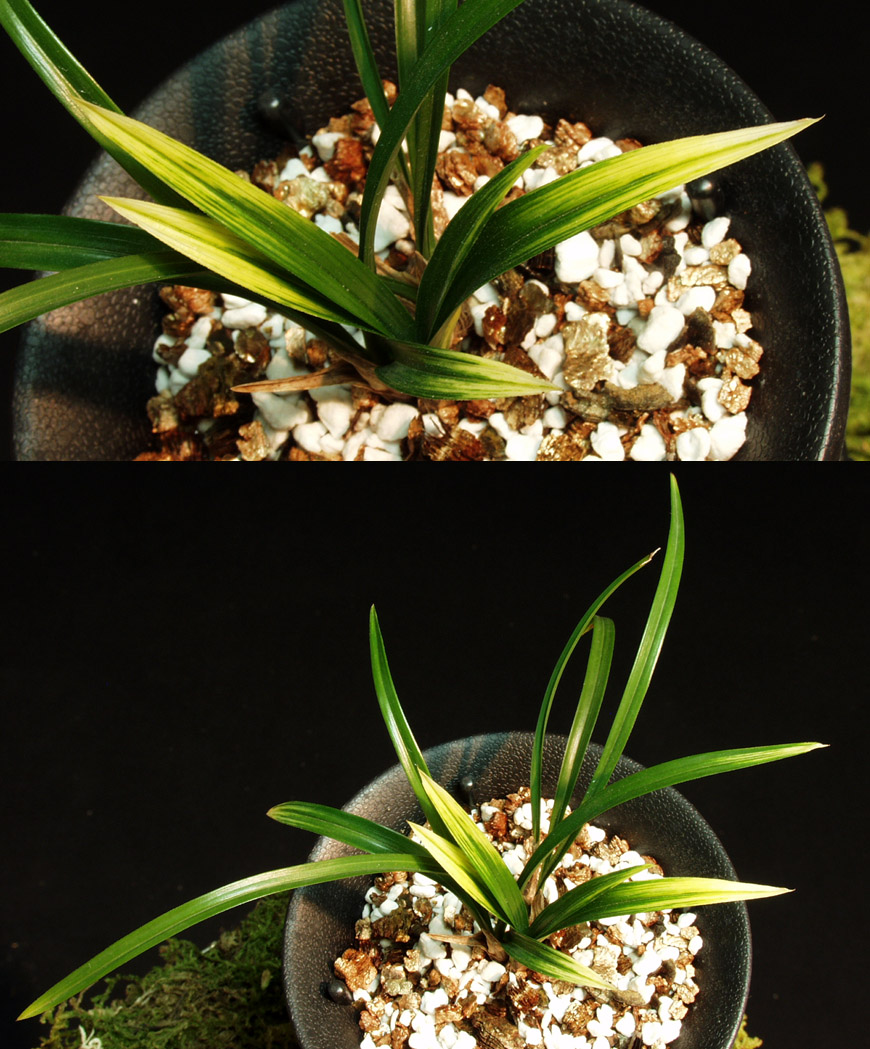 ������ ū������ �� �� �ֽ��ϴ�.