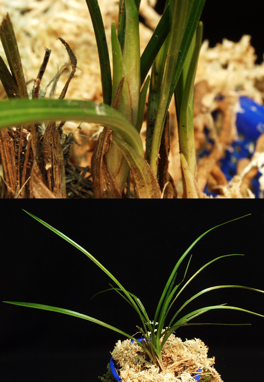 ������ ū������ �� �� �ֽ��ϴ�.