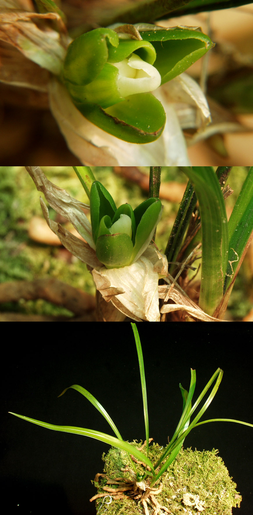 ������ ū������ �� �� �ֽ��ϴ�.