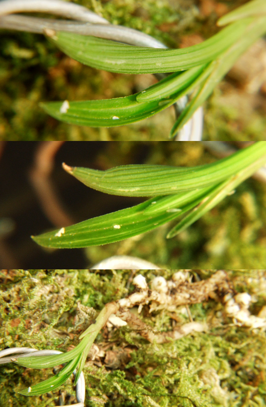 ������ ū������ �� �� �ֽ��ϴ�.