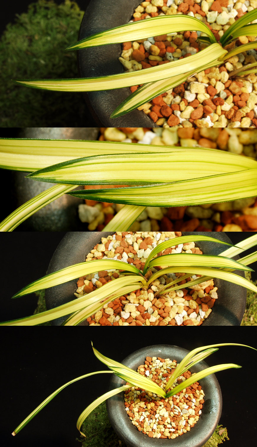 ������ ū������ �� �� �ֽ��ϴ�.