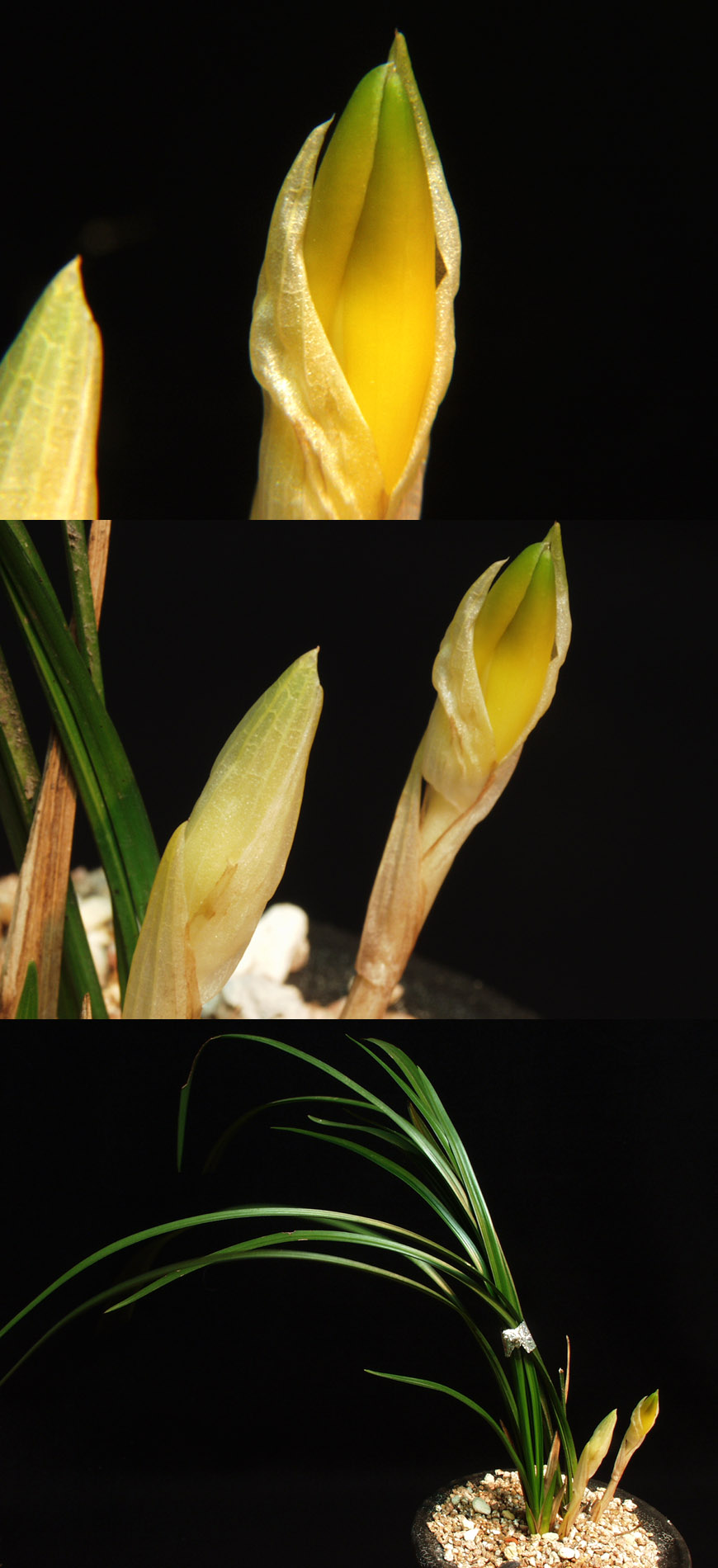 ������ ū������ �� �� �ֽ��ϴ�.