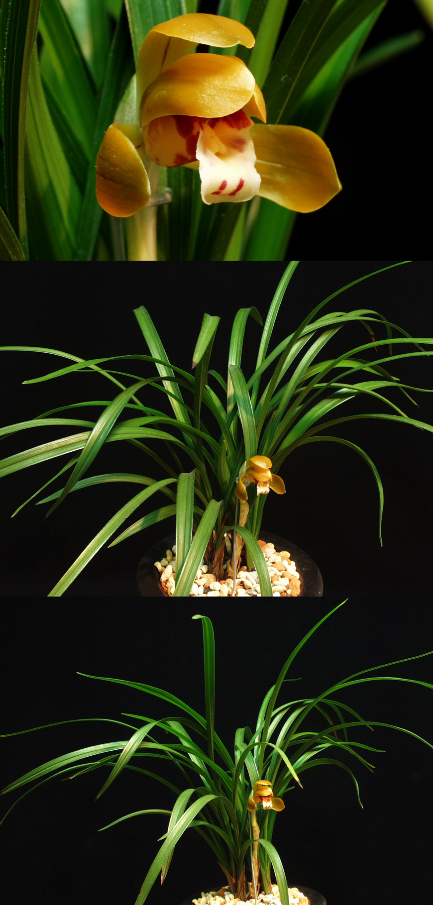 ������ ū������ �� �� �ֽ��ϴ�.