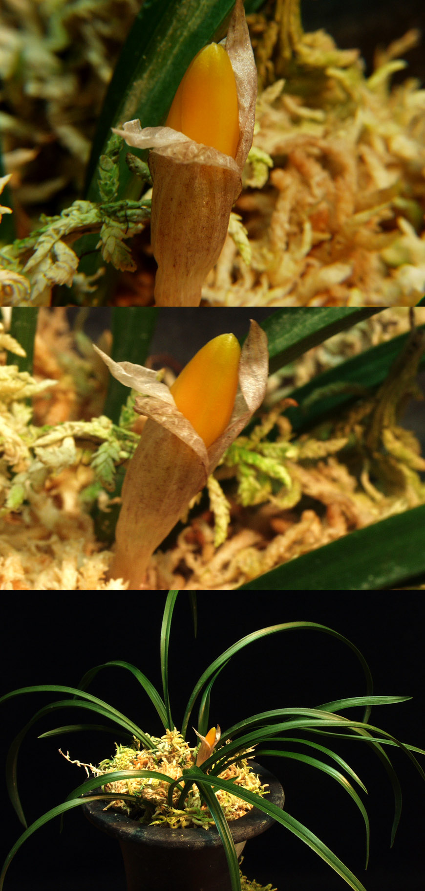 ������ ū������ �� �� �ֽ��ϴ�.