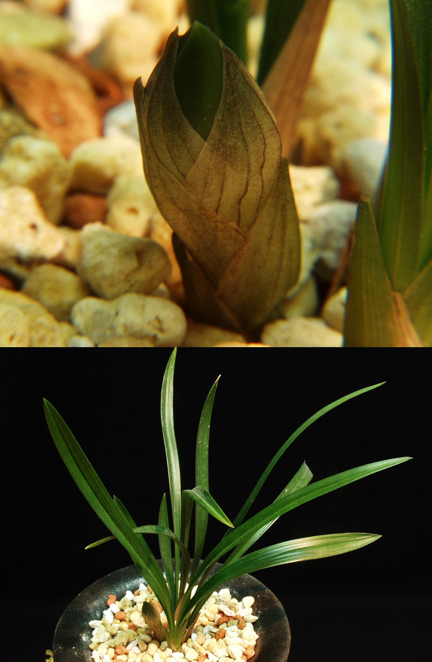 ������ ū������ �� �� �ֽ��ϴ�.