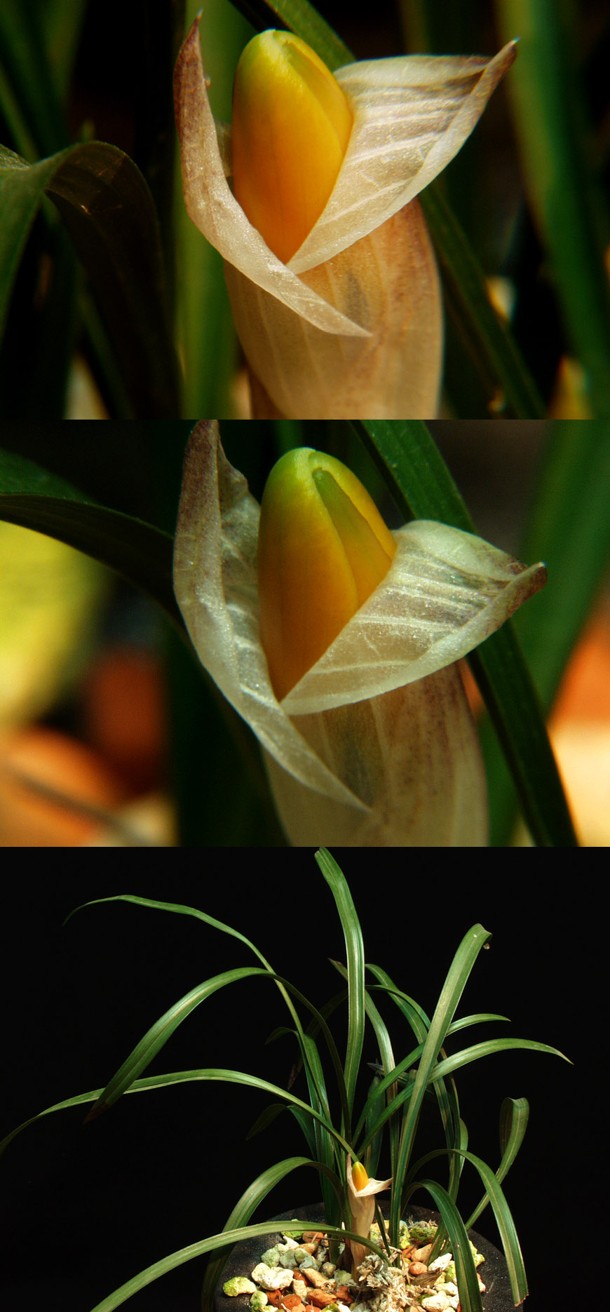 ������ ū������ �� �� �ֽ��ϴ�.