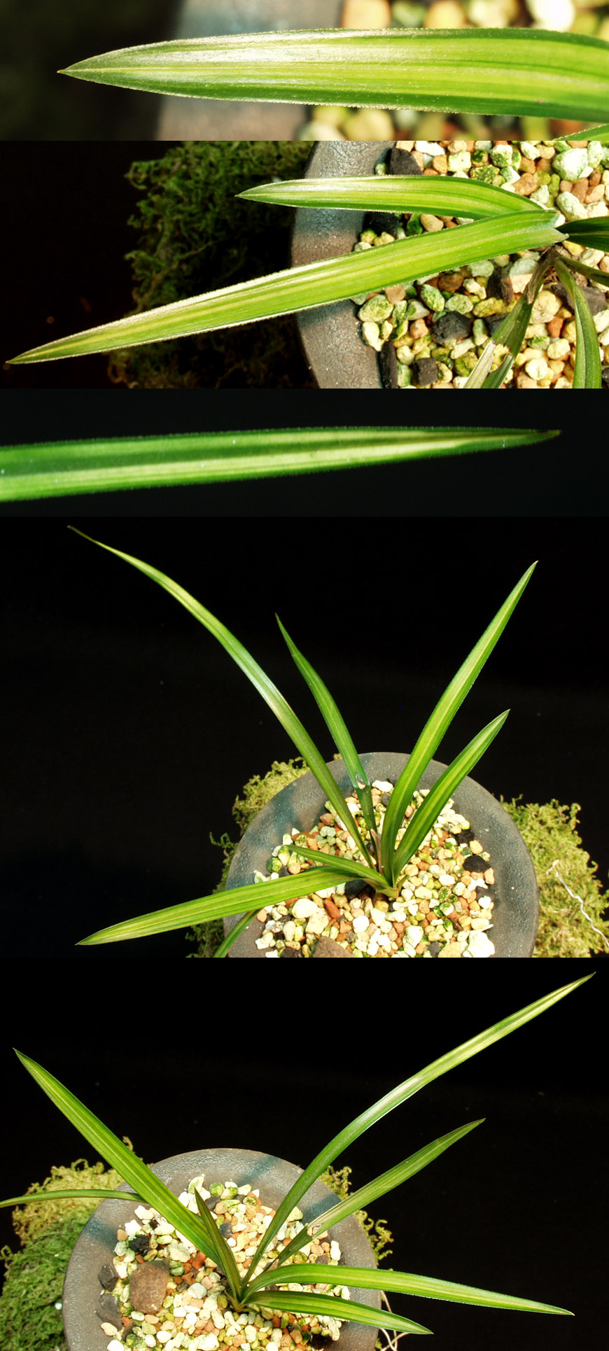 ������ ū������ �� �� �ֽ��ϴ�.