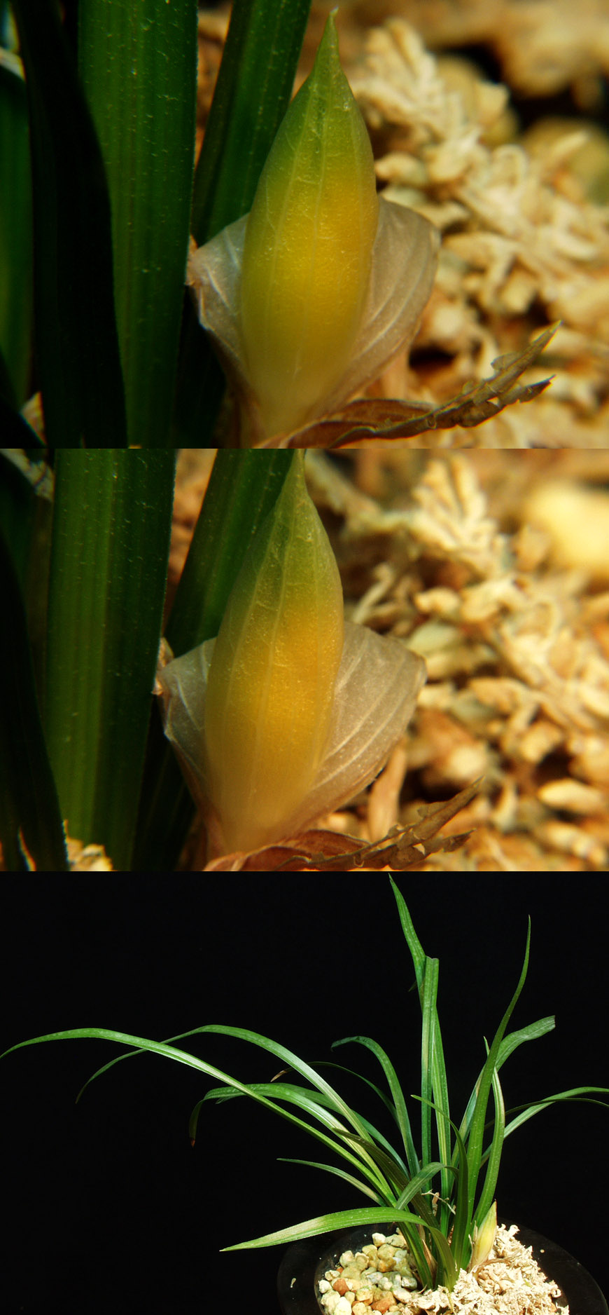 ������ ū������ �� �� �ֽ��ϴ�.