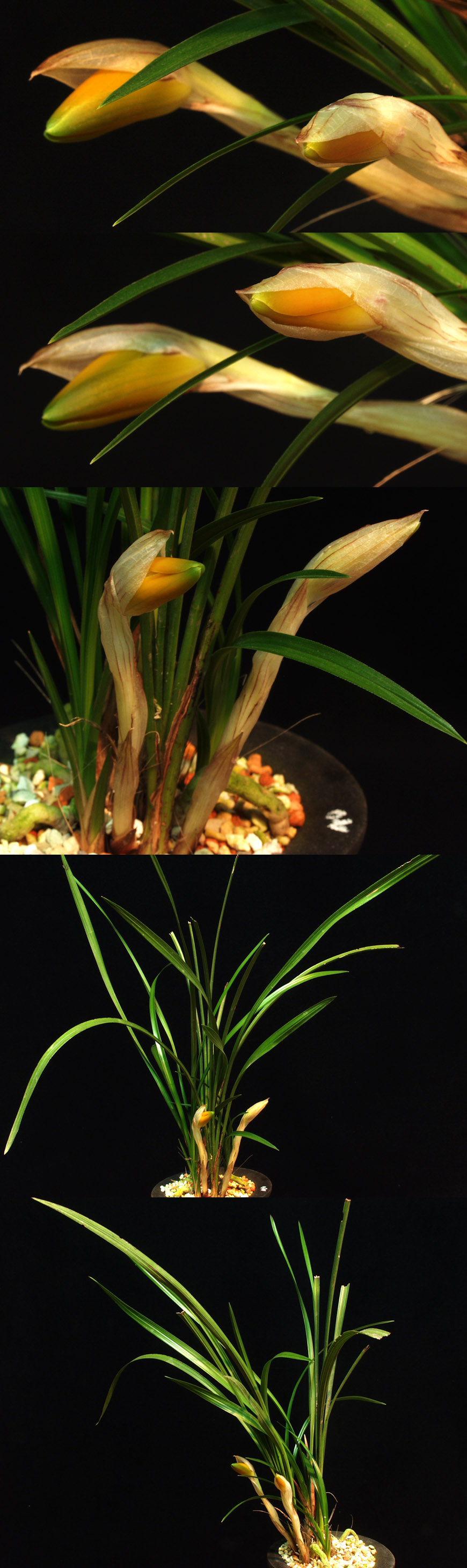 ������ ū������ �� �� �ֽ��ϴ�.