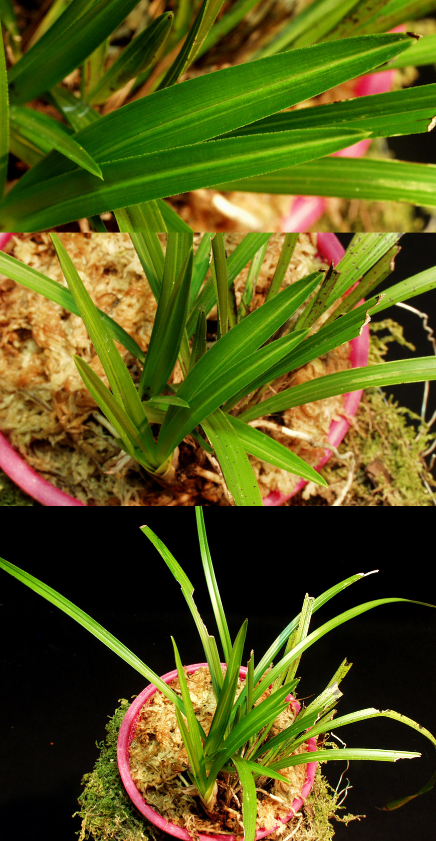 ������ ū������ �� �� �ֽ��ϴ�.